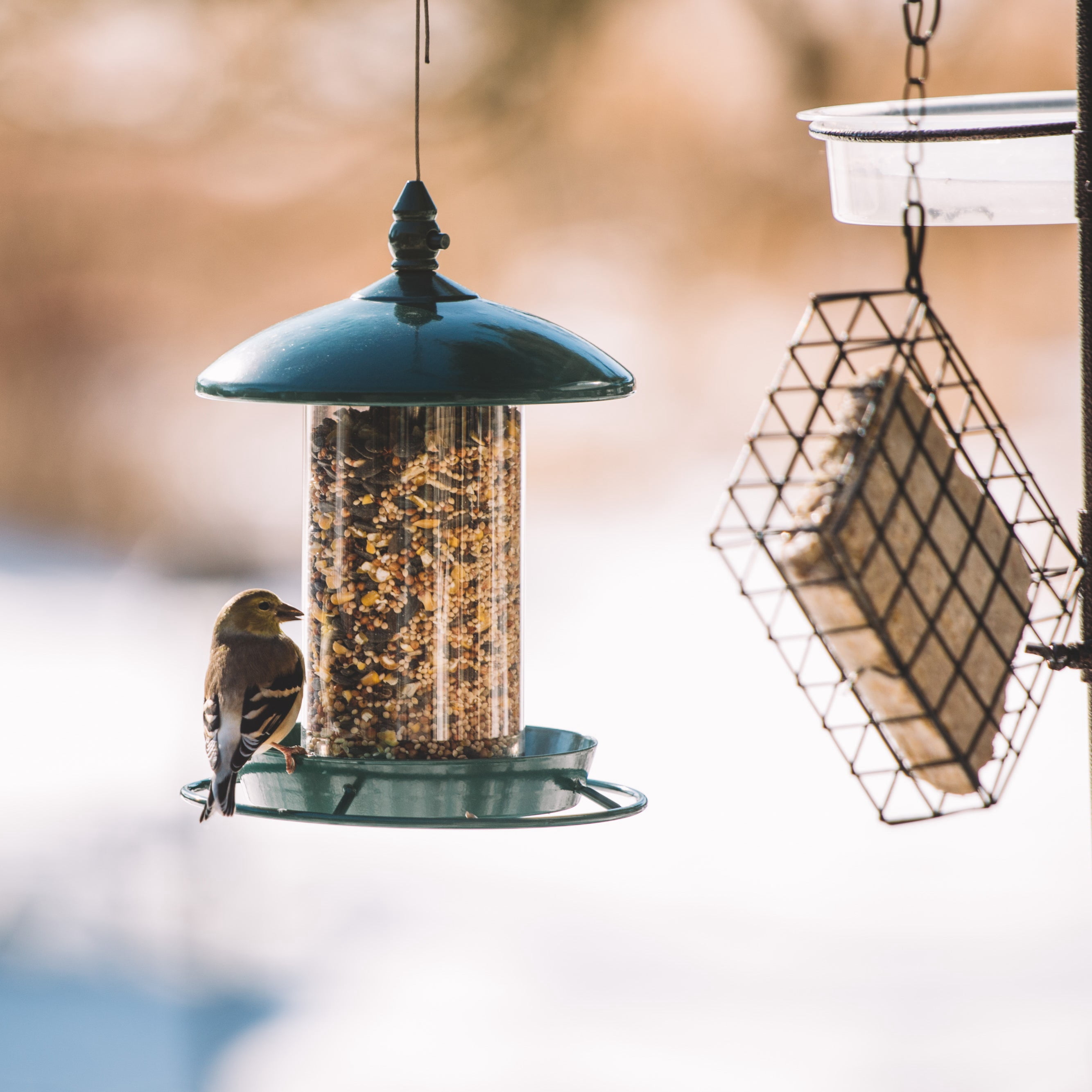 Metal Bird Feeder for Outside Hanging, Wild Bird Feeders for Cardinal, Large Roof and Tray - 6 Port