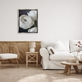 thumbnail image 3 of Stupell Industries Budding Ranunculus Flower Blooming Close Up Petals Photograph Luster Gray Floating Framed Canvas Print Wall Art, Design by Jennifer Rigsby, 3 of 5