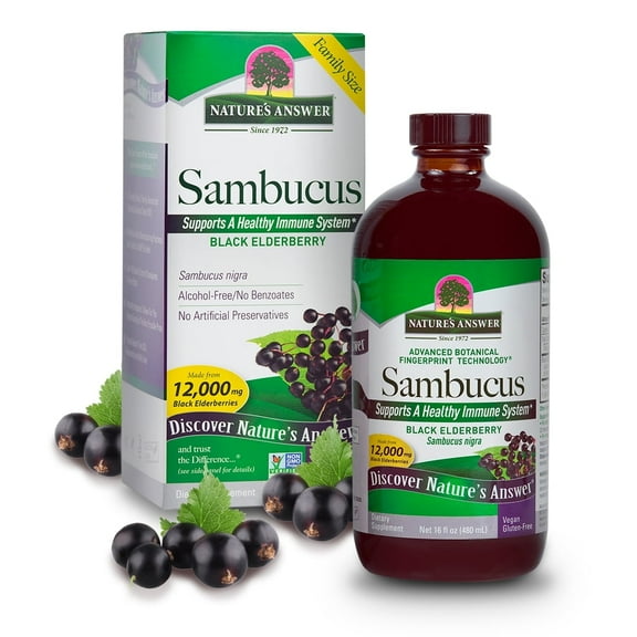 Nature’s Answer Sambucus Elderberry Syrup, Great-Tasting Vegan Immune Support, 16 fl oz
