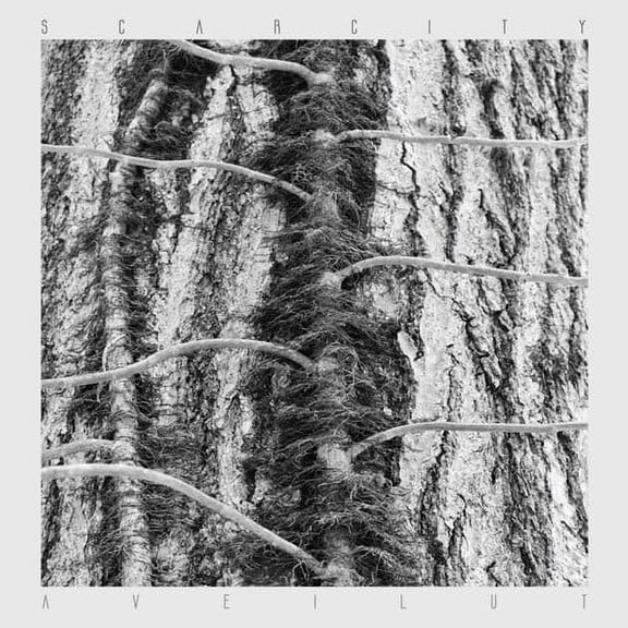 Scarcity - Aveilut - Music & Performance - Vinyl
