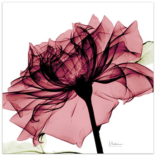 Empire Art Direct Chianti Rose I Flower Art Mural sur Panneau en Verre Trempé Flottant Sans Cadre Prêt à Accrocher, Salon, Chambre Ï14 Bureau, 24 Po x 0.2 Po x 24 Po, Rose, Blanc