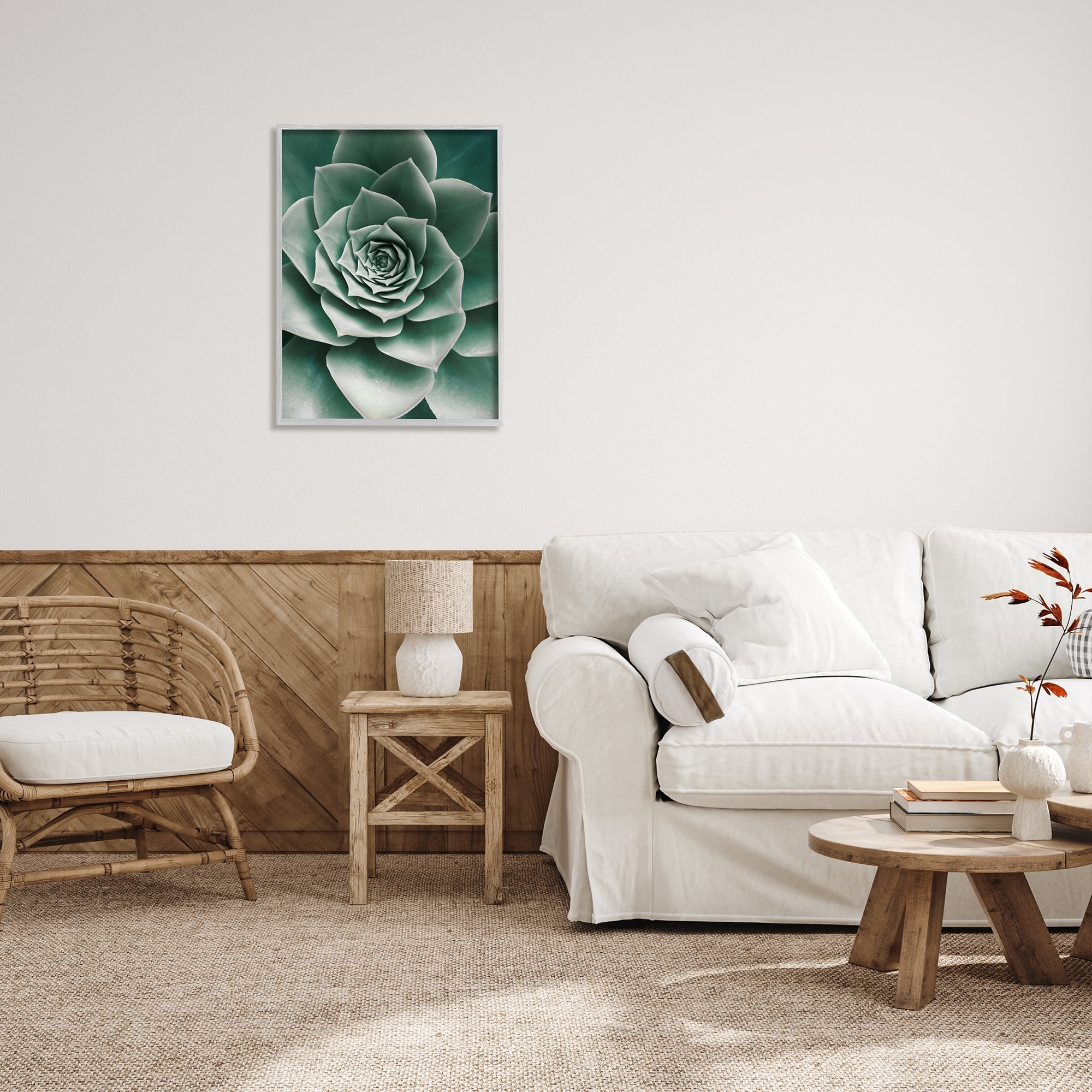 Stupell Industries Green Succulent Photography Botanical & Floral Photography Gray Framed Art Print Wall Art, 24 x 30