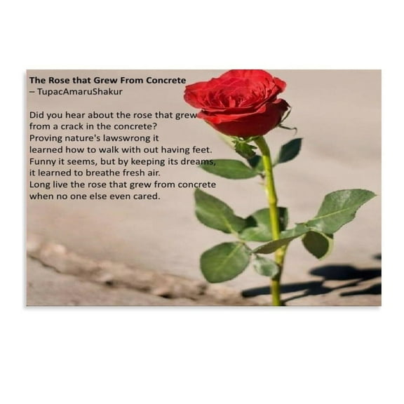 The Rose That Grew from Concrete Poem Poster Printing Home Wall Art Decor Print Canvas for Living Room Bedroom Office Gift