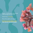 thumbnail image 3 of Champú anticaída Mielle Organics Sea Moss 350 ml, 3 of 6