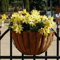 thumbnail image 4 of Austram-Griffith Creek Designs Hyde Park Hanging Planter, 4 of 5