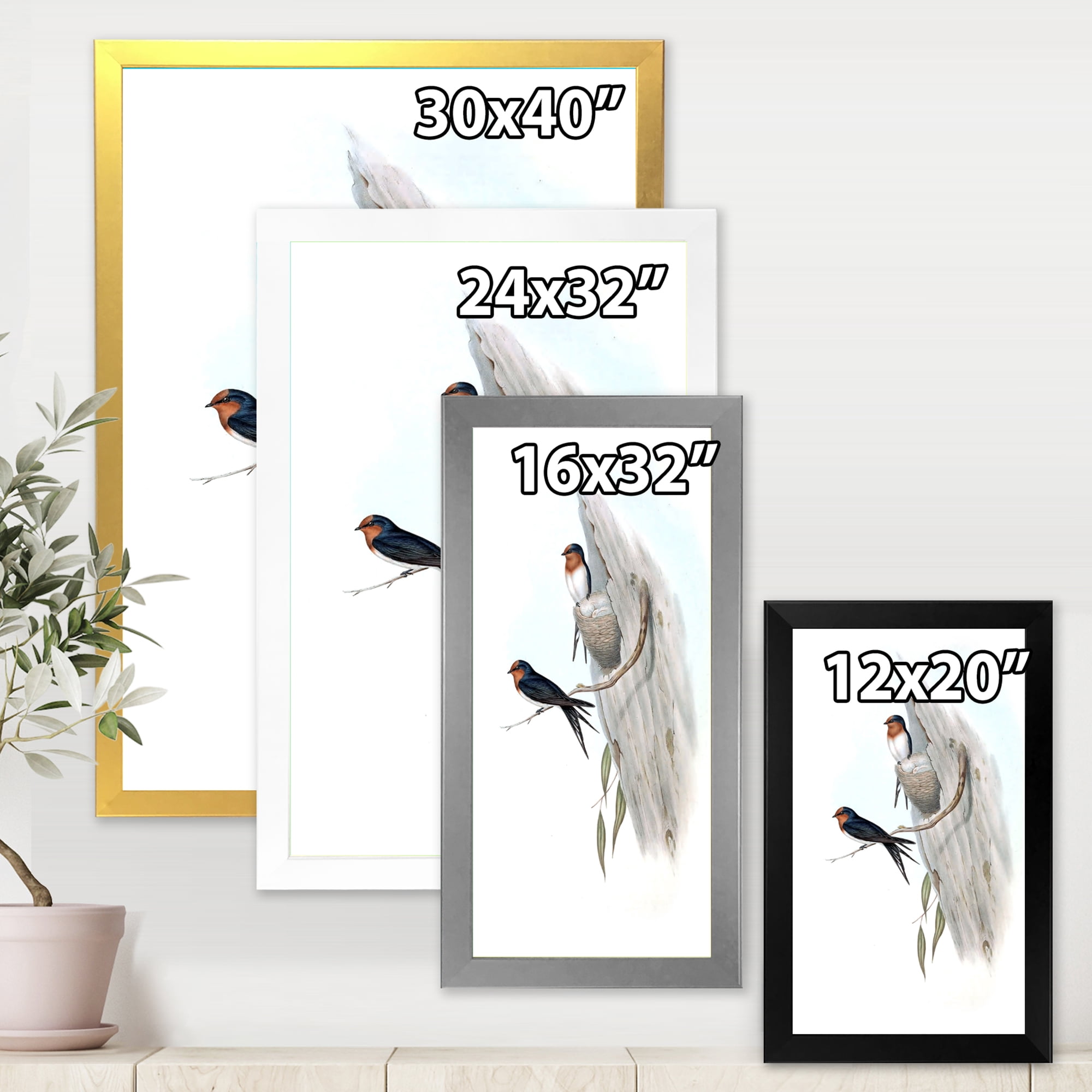 Designart 'Ancient Australian Bird Illustrations II' Traditional Framed Art Print