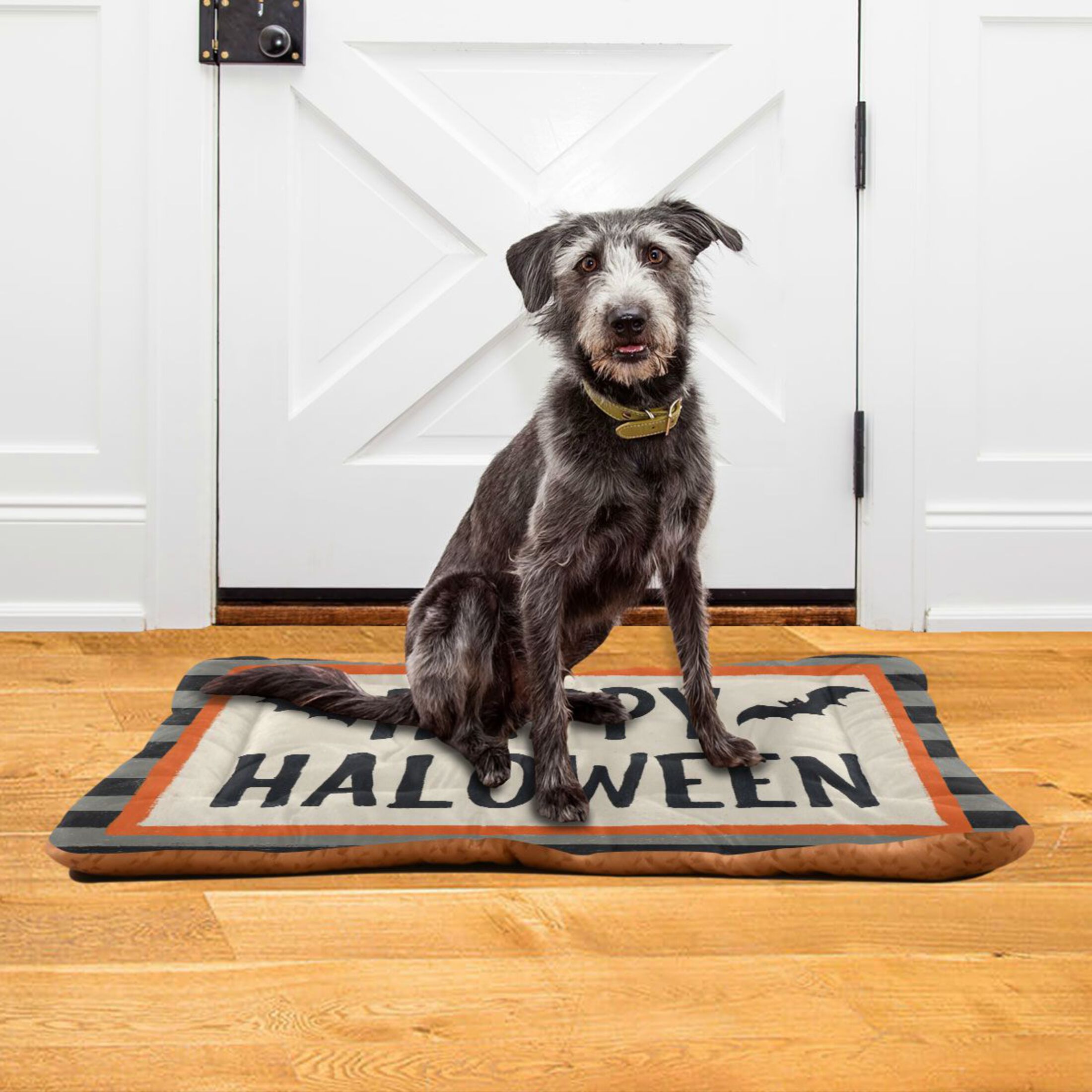 Qxltty Happy Halloween Bats Ped Pad Wear-resistant and Hard to Bite Through Sleeping Pad for Small Medium Large Dogs Winter Pet Bed 36×24in