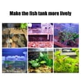 thumbnail image 6 of LED Aquarium Light, Grow Light Aquarium Plant Lighting Rotatable Clip On Lamps for Small Fish Tank, Landscape Lighting (Black), 6 of 6