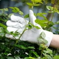 thumbnail image 6 of WORTH Leather Canvas Garden Gloves for Women, Work Gloves Gardening Gloves, Thorn Proof No Stab for Digging, Planting, Pruning, 6 of 7