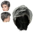 thumbnail image 2 of Wigs Human Hair Wigs for Women Short Mixed Wig Short Slight Curly Heat Wigs Middle And Elderly Wig Head Cover Cut Wigs Short Stylish Layer Wig Grayish White Clearance, 2 of 7