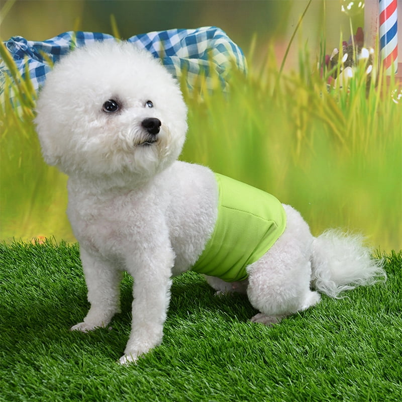 dog belly band walmart