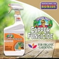 thumbnail image 3 of Bonine Copper Fungicide Liquid - For Fruits and Roses - 32 Oz, 3 of 9