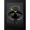 thumbnail image 2 of Sanchez, Manuel 17x24 Black Modern Framed Museum Art Print Titled - Lemon Cherry, 2 of 5
