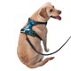 thumbnail image 2 of Fotbe Blue Kyanite Arnés para Perro con Estampado –Chaleco Ajustable Acolchado con Asa de Control para Perros Grandes-Small, 2 of 6