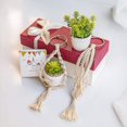 thumbnail image 5 of Paquete de 2 mini colgadores de macramé para plantas, decoración bohemia para colgar en la pared, entrada, hogar, oficina, accesorios para coche, regalos para amantes de las plantas, color blanco, 5 of 5