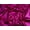Fuchsia Pink, variant on Minerva Core Range Metallic Activewear Lycra Four Way Stretch Knit Fabric Bronze - per yard