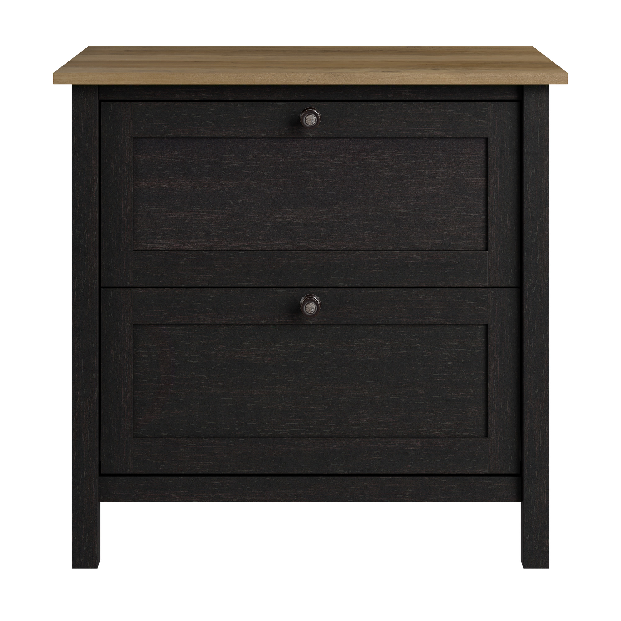 Mayfield 2 Drawer Lateral File Cabinet in Vintage Black and Reclaimed Pine
