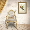 thumbnail image 3 of Gould, John 11x14 Gold Ornate Wood Framed with Double Matting Museum Art Print Titled - King Lory-Aprosmictus scapulatus, 3 of 4