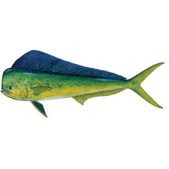 Dolphin Mahi Mahi Decal