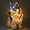 Husky - sitting, variant on Resin Animal Series Table Lamps, Stained Glass Art Night Light, LED Tabletop Night Lights, Fun Gift for Dog Lovers, Suitable for Living Room, Bedroom, Home Office