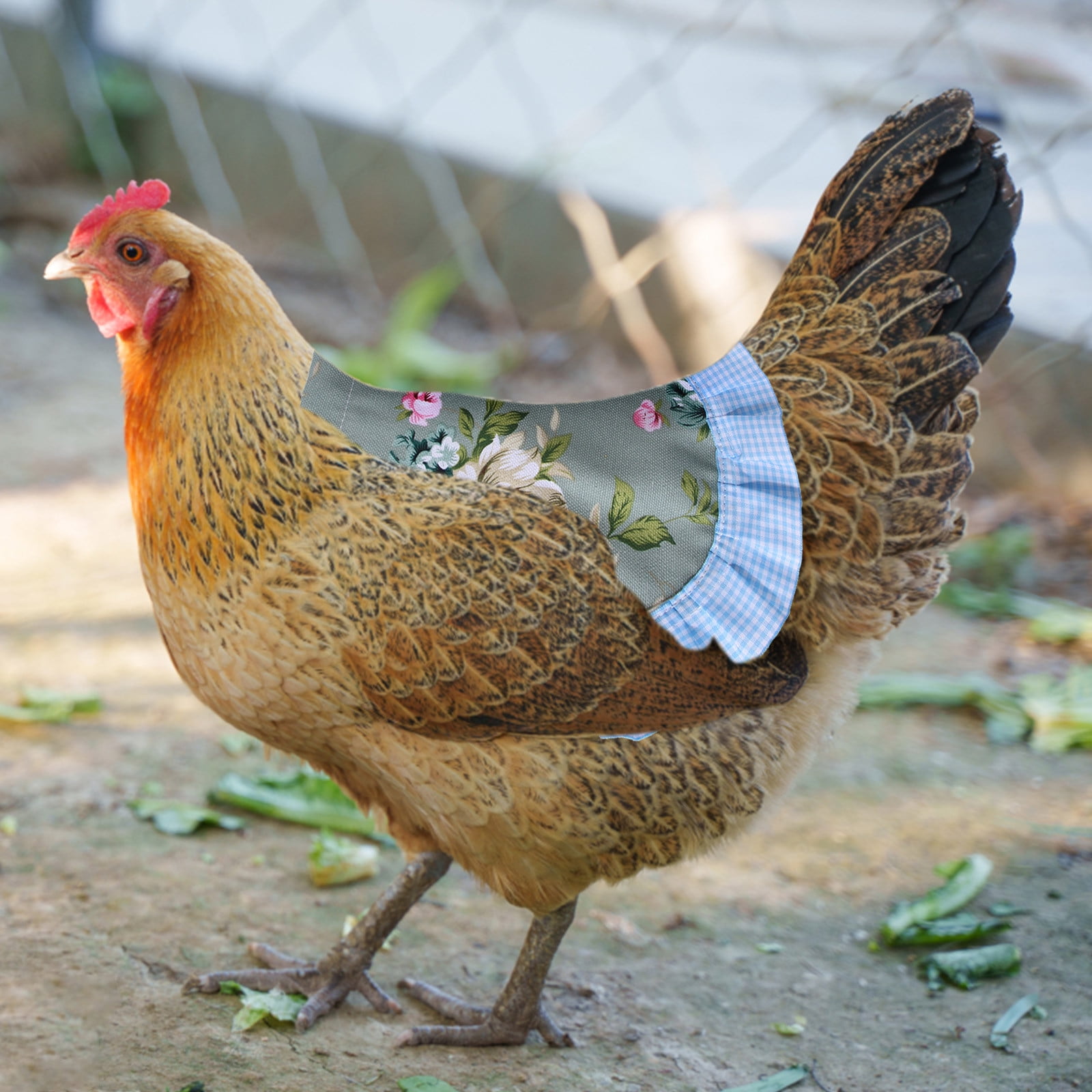 Chicken Saddle Hen Apron With Elastic Straps Hen Feather Fixer Wing