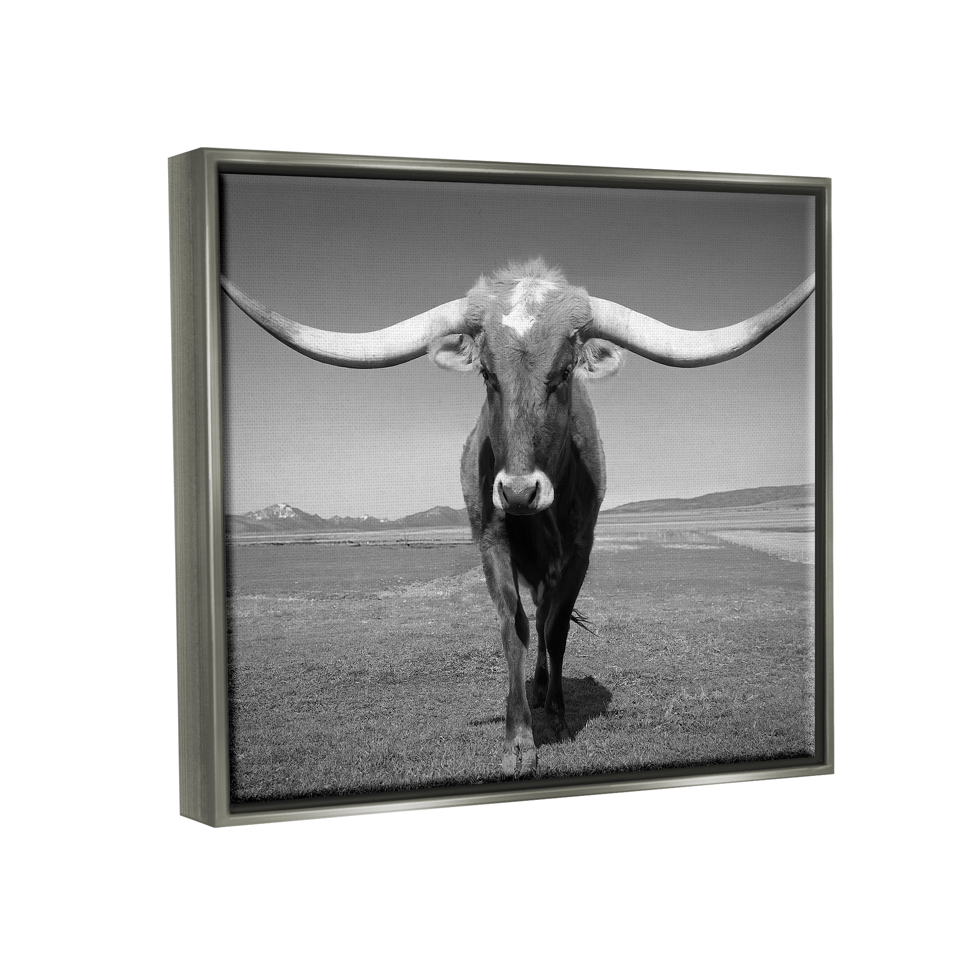 Stupell Industries Longhorn in Countryside Landscape Photography Gray Floater Framed Canvas Art Print Wall Art, 31 x 25