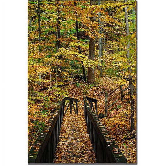Trademark Fine Art "Fall Bridge" Canvas Art by Kurt Shaffer