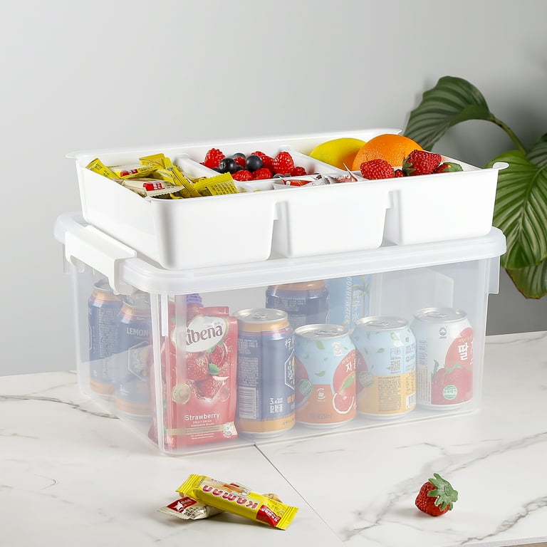 Pack Plastic Storage Box with Tray, Stackable Organizer, Clear