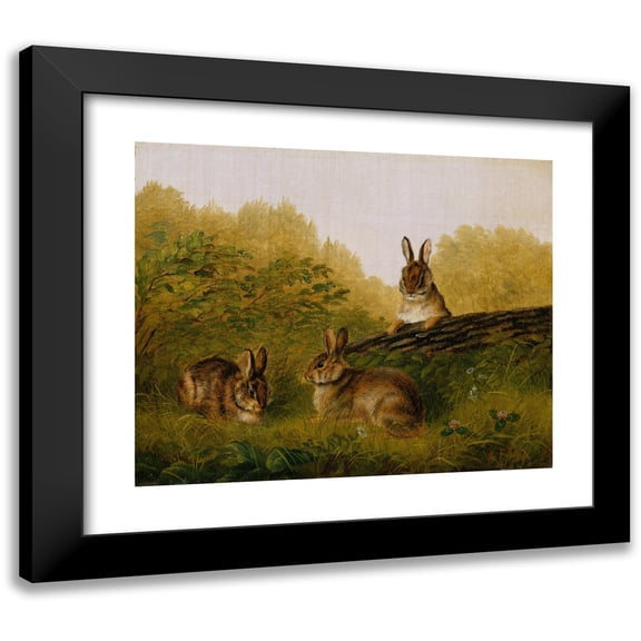 Arthur Fitzwilliam Tait 14x12 Black Modern Framed Museum Art Print Titled - Rabbits on a Log (1897)