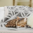 thumbnail image 6 of PiccoCasa Fleece Soft Throw Blanket Dual Sided Blanket, 60"x80" Grey, 6 of 6