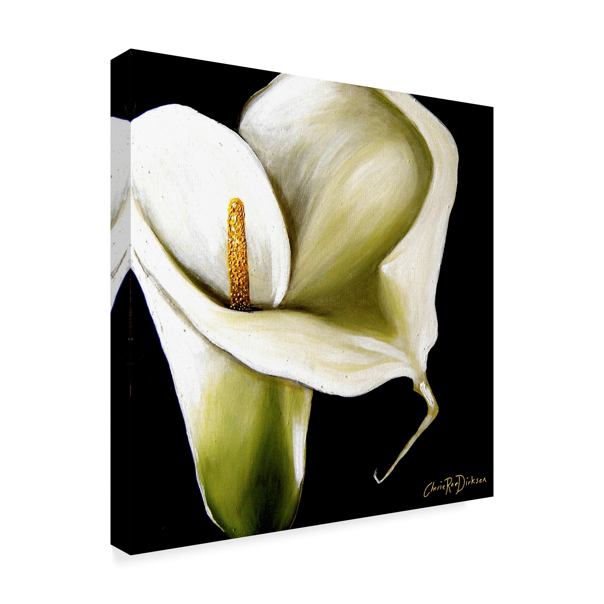Trademark Fine Art 'Arum Lily' Canvas Art by Cherie Roe Dirksen