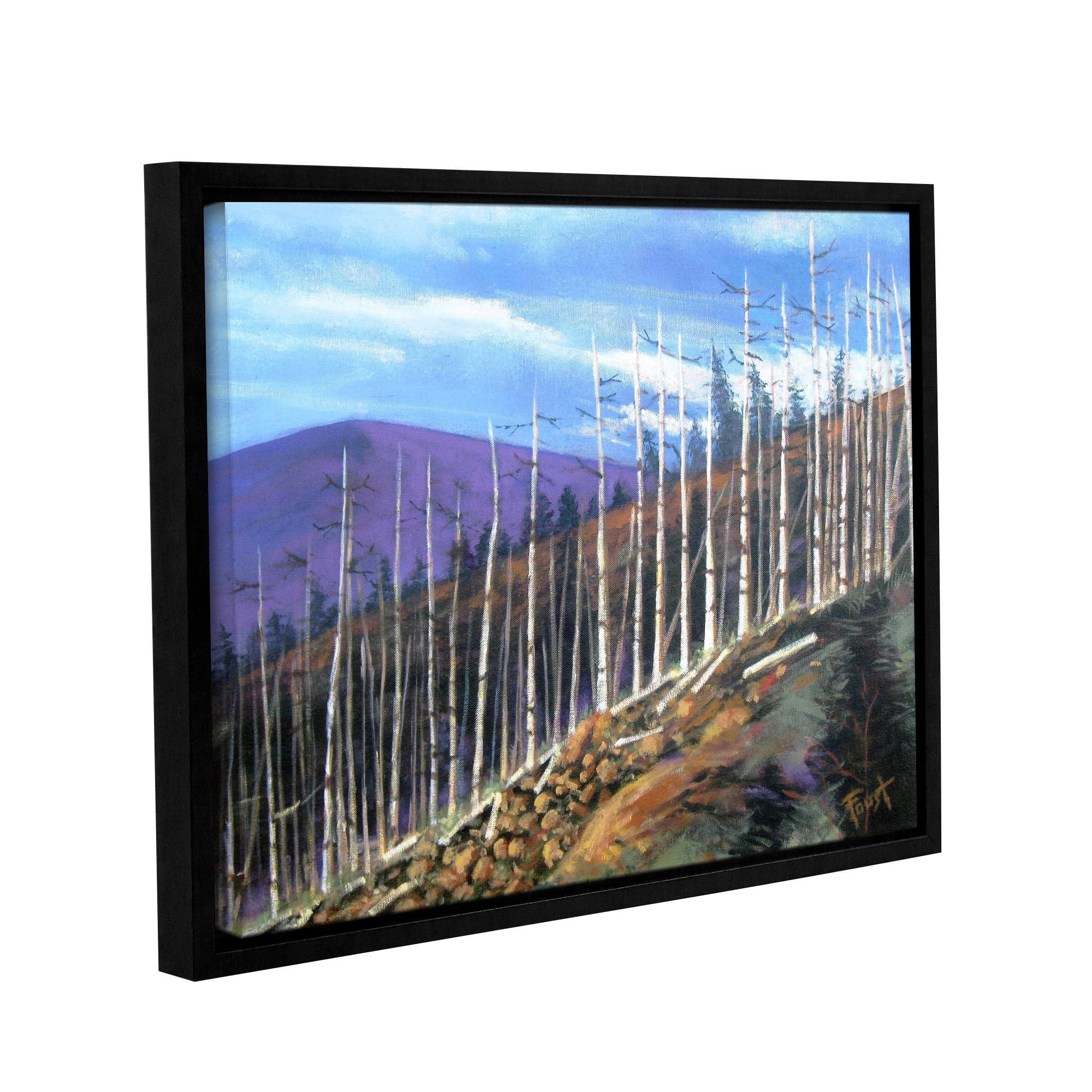ArtWall Gene Foust "First Sight" Gallery-Wrapped Floater-Framed Canvas