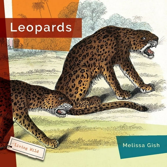 Leopards, (Paperback)