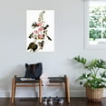 thumbnail image 3 of Art.com Audubon: Hummingbird Stretched Canvas Print Wall Art by John James Audubon, 24" x 36", 3 of 4
