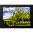 thumbnail image 2 of Hausenflock, Alan 18x13 Black Modern Framed Museum Art Print Titled - Spring on the Farm II, 2 of 5