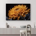 thumbnail image 2 of Wall26 Canvas Print Wall Art Gerbera Daisy Flower Print Closeup Nature Wilderness Photography Realism Modern Art Decorative Rustic Minimal Flora Wall Art Decor for Bedroom/Office - 32"x48", 2 of 5