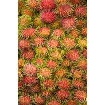 Rambutan Central Market Kuala Lumpur Malaysia Poster Print