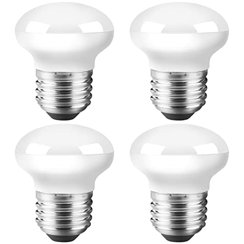 Curio Light Bulbs