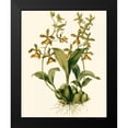 thumbnail image 2 of Drake 15x18 Black Modern Framed Museum Art Print Titled - Orchid Array II, 2 of 5