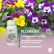 Bio BOB Organic Rose & Flower Food, Liquid Flower Fertilizer for Plants, 6.6 oz