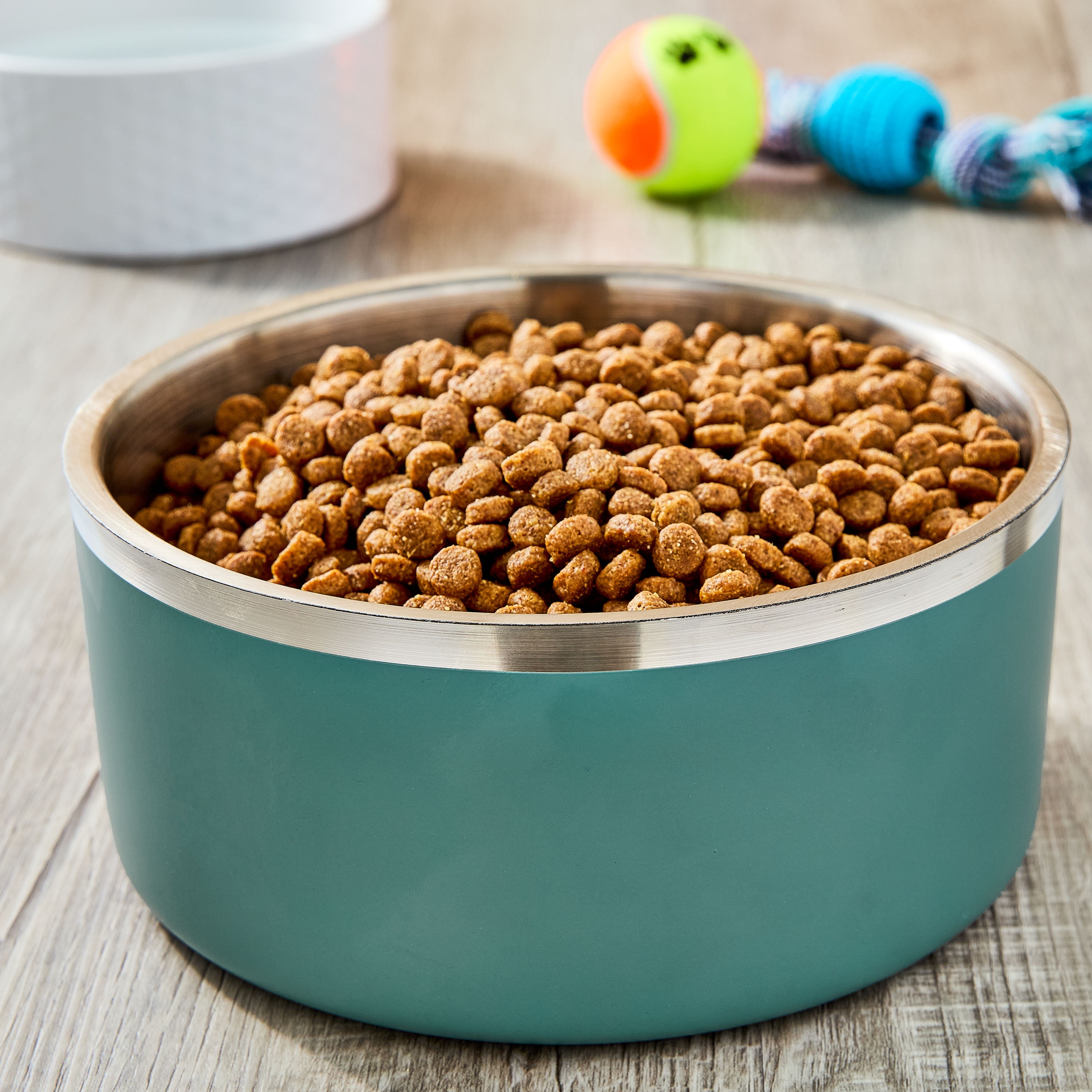 Vibrant Life Large Stainless Steel Double Wall Dog Bowl, Green