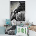thumbnail image 3 of Designart 'Close Up Of A Black Horse' Farmhouse Framed Art Print, 3 of 4