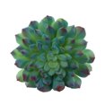 Koyal Wholesale Large Echeveria Artificial Succulents, Bulk Pack 6, 5.5