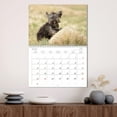 thumbnail image 3 of Havanese - whirlwinds from Cuba (Monthly Wall Calendar 2026 16.5 x 23.4 (open)), CALVENDO 14 Month Calendar, 3 of 9