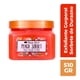 thumbnail image 1 of Exfoliante corporal Tree Hut sorbete de durazno 510 g, 1 of 4