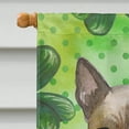 thumbnail image 3 of Carolines Treasures BB9854CHF Thai Ridgeback Saint Patricks Flag Canvas - House Size, 3 of 4