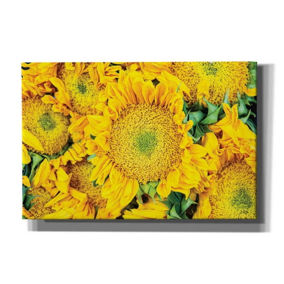 Epic Graffiti 'Sunflower Summer' by Donnie Quillen, Giclee Canvas Wall Art, 18"x12"