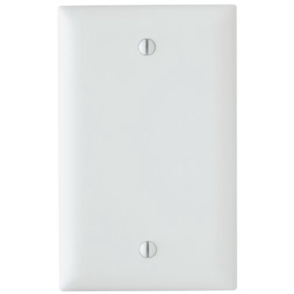 Pass & Seymour Nylon Blank Wall Plate