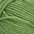 thumbnail image 2 of Red Heart® Soft™ #4 Worsted (Medium) Acrylic Yarn, Guacamole 5oz/142g 256 Yards, 2 of 8