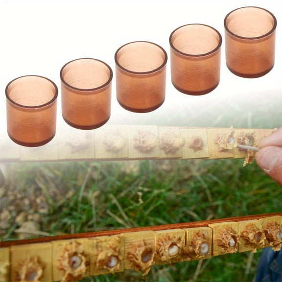 TOPINCN 500Pcs Queen Rearing Cell Cup Plastic Brown Cell Cups Rearing Honey Bee Beekeeping Supplies